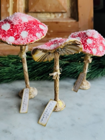 Snowcapped Trio of Mushrooms