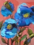 Blue Poppies no. 4 - 6x8