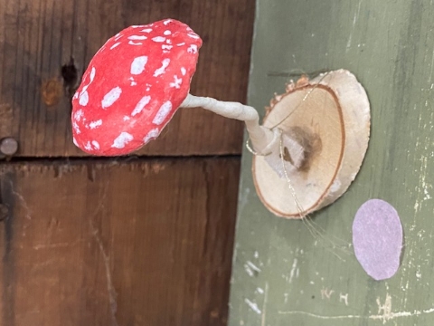 Natural Amanita Lovely Mushroom - OOAK