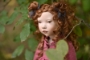 Abelone - 50cm/19.5" - IN STOCK