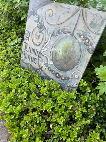 Lumis Motis - 36x36 - SALE