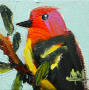 Picture of Western Tanager No. 63 – 4x4