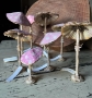 Picture of PINK Amanita Muscari Mushrooms – Set of 2 SALE