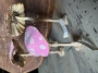 Picture of PINK Amanita Muscari Mushrooms – Set of 2 SALE