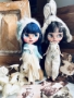 Picture of Blue Mountain Blythes - coming soon