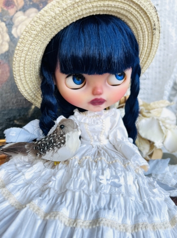 Picture of Blue Mountain Blythes - coming soon