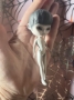 Picture of "Toshio" Ghost - Sculpted Petite Blythe by DREXLER