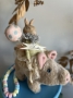 Picture of "Sweetheart Spring" - OOAK Bunny Rides a Pig by Nicol Sayre