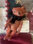 Picture of Buster Bear - ooak Teddy by Jennifer Murphy