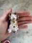 Picture of D is for Dog Ornament - ooak by Julie Whitmore