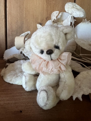 Picture of Wee Vanilla -- ooak by Sweet Days Teddy Bears