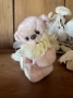 Picture of Wee Rose -- ooak by Sweet Days Teddy Bears 