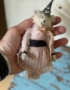 Picture of Sweet Compliments Queen - ooak by Letty Worley  