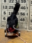 Picture of Blackest Cat - ooak by Jody Battaglia