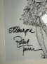 Picture of Framed Original Ellowyne Art - by Robert Tonner  - one of a kind sketch