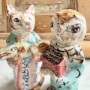 Picture of The Pussycat - ooak hand built figure by Julie Whitmore 