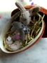 Picture of The Real Easter Bunny - ooak set by Widdershin Bears 