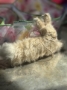 Picture of Sleepy Bun - ooak by Letty Worley  