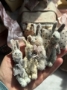 Picture of Tiniest Bunny Dovie - ooak by Widdershin Bears