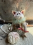 Picture of Kitty Love - by Natalia Grosu - SALE
