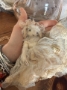 Picture of "SomeBunny Special & Purse" - ooak art teddy set by Letty Worley  