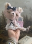 Picture of Teddy Blythe "Seaside Shelley" - ooak by Letty Worley wearing Annie Dollz & More Fashion