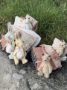 Picture of Sweet Rosey Dreams  - Widdershin Wee Bed...for Petite Blythe & Teddy Friends -