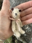 Picture of Small Cutie Pie Ted  - 3.75" ooak by Widdershin Bears 