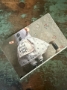 Picture of " It's Always Sunday Best" Mini Print -  Julie Arkell –4x6 