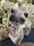 Picture of Allie Cat - ooak mini art toy by Olesya of Amici & Orsetti