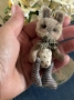 Picture of Bentley Bunny - ooak mini art toy by Olesya of Amici & Orsetti