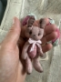 Picture of Bunsy Berry - ooak mini art toy by Olesya of Amici & Orsetti