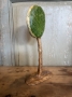 Picture of "The Lollipop Tree"-  ooak Sculpture by Julie Arkell  