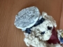 Picture of RARE "Trim a Tree Santa" - OOAK by Debbee Thibault