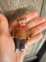 Picture of Rare Mini Antique Teddy - 3" Jointed Bisque German