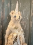 Picture of "Party Girl Daphne" - ooak 7" art teddy by Letty Worley
