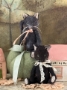 Picture of Lillith - 4" ooak Black Cat by Widdershin Bears 