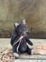 Picture of Orpheum - 4" ooak Black Cat by Widdershin Bears 