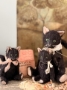 Picture of Clarion - 4" Black MOHAIR KITTY  by Widdershin Bears  